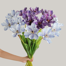 �p�ݼҾ��b����ָл����B������ Ӱ���Ĕz���߼ٻ����潁��