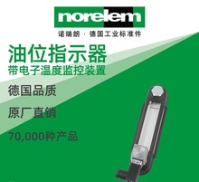 norelem�¹�ԭ��ֱ��ŵ����NLM28000����λָʾ�� ���¶ȼ�