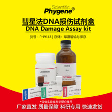 ���Ƿ�DNA�p���z�yԇ���� DNA Damage kit [PH9143 PHYGENE]