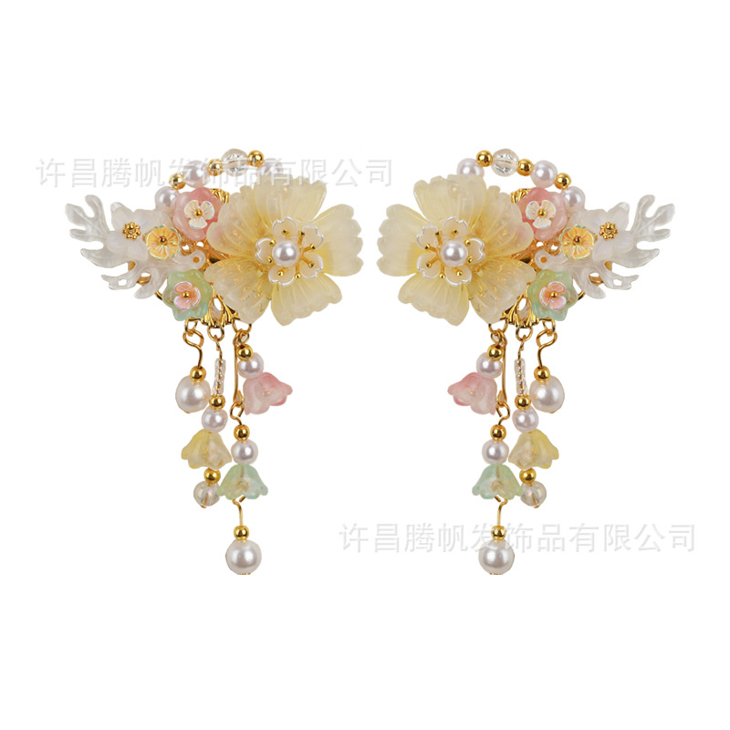 점차 노란색 산호