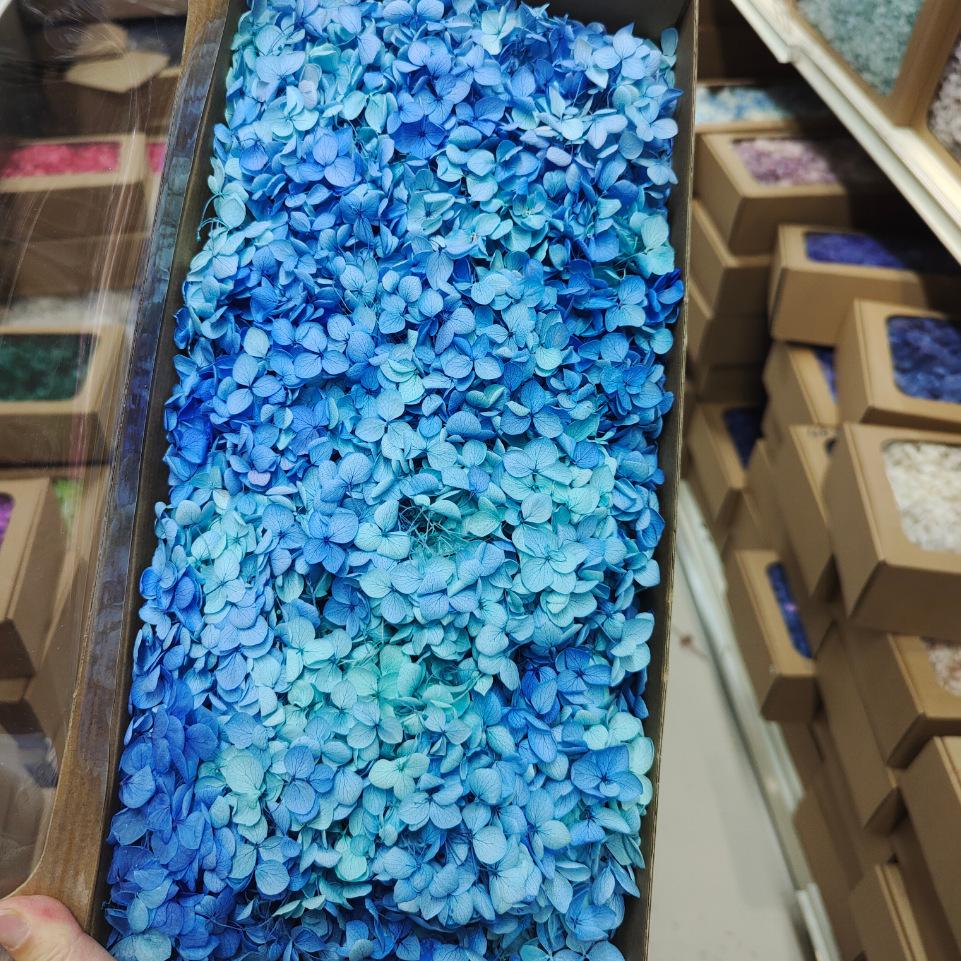 Flor eterna Hortensia Anna pequeña hoja flor seca flor real árbol de Navidad ventilador hecho a mano ramo DIY material paquete flor