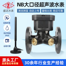 大口径物联网无线阀控远传4G/NB超声波智能水表 法兰丝扣协议对接