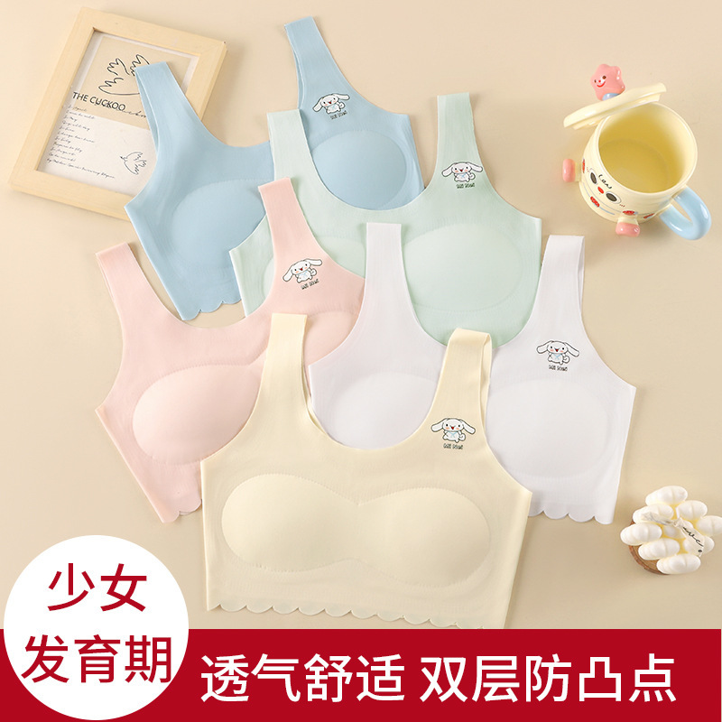 Summer Internet Popular Seamless Girl Intimates Little Girl Intimates Junior High School Students Primary and Secondary School Students Development Period Vest