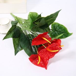 �羳����ֲ��Ҿ��bGֲ���ϼٻ��Ĕz�������l����ʮ���^�t��