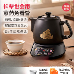 小熊电煎壶煎药壶全自动熬药煲熬药电砂锅电热水壶壶