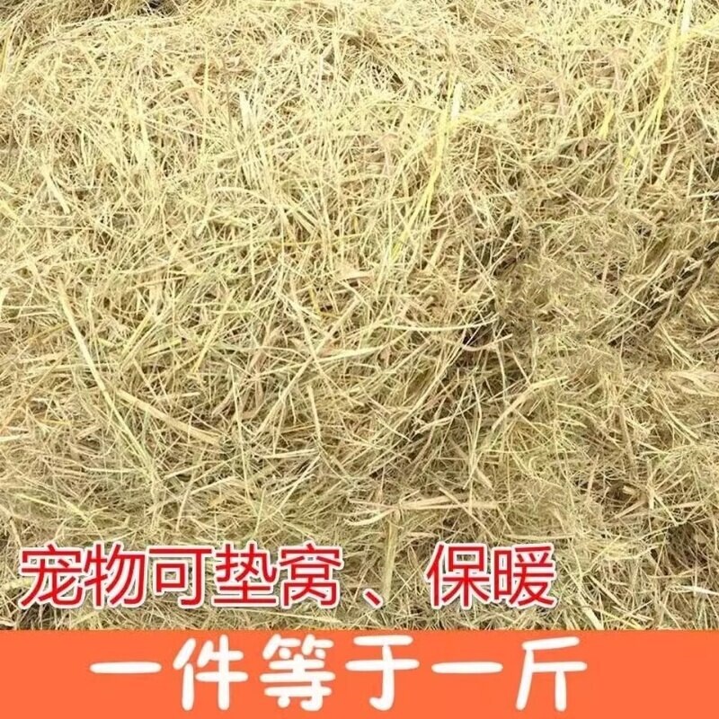Straw Hay Bedding for Rabbits, Winter Grass for Dog Nests, Chicken Pet Bedding, Natural Dry Straw, Wheat Straw, Grass for Warmth
