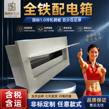 ����PZ30ȫ�������4-96��·��տ�����ù��������ǿ�粼����