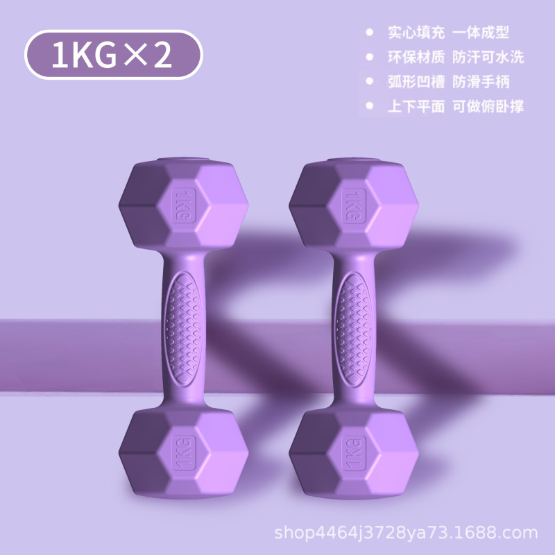 哑铃女士健身家用器材杠铃壶铃儿童青少年学生宿舍小哑铃2KG一对|undefined