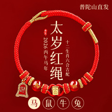 2026�R�걾����t�K����ֹ��������������Ů���K�Y��