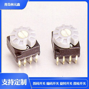 Taiwan HAMPOLT Dial Switch Coding Switch RS413 Series Rotary Switch