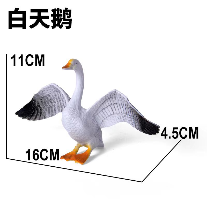 X-196 화이트 스완