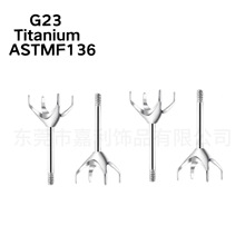 F136⁺Ͻ���צһ�wʽ���ݼy�U����G23��A�Ӷ��צ��צ�����S