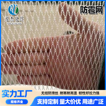 防雹网果树蔬菜大棚冰雹网小孔防鸟网防虫网园林防护网坠物围网厂