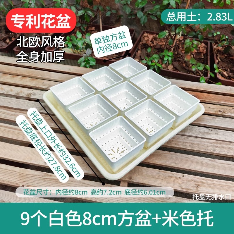 樹脂多肉植木鉢大口径小白角コンビネーション台座付きトレープラスチック通気植物専用根付き鉢|undefined