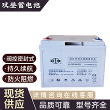 ˫6-GFM-65ֱUPSͨŻվ12V65AHʽǦ