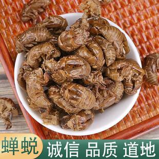 �s͑500g���s��/ �s��/ ���s/ ����֪��Ƥ��؛��؛��؛��؛
