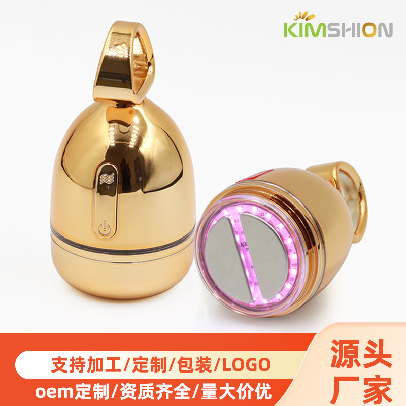 Beauty Instrument, Home Beauty Instrument, Lifting Vibration Ems Microcurrent Facial Massager, Facial Essence Introduction Instrument