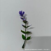 �����ȼ����軨����ֲ�������X�~õ����滨�����҃��b����