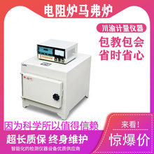 SX2-12-12��ʽ���늠t�ߜؠt���t�R���tһ�wʽ���wʽ�R���t