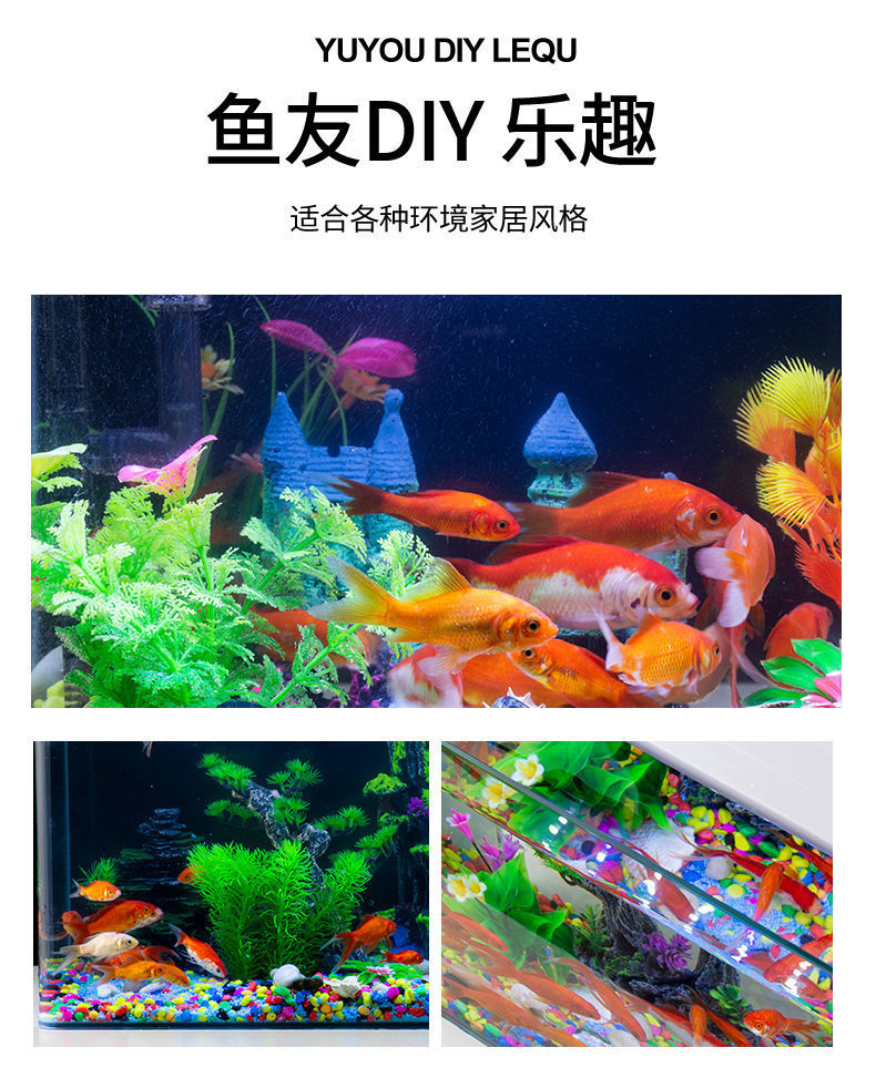 84a96d23-82d4-4813-b48c-ffd90be503cb.jpe