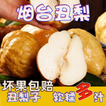 ����ӡ�ɽ�|��̨���� ���l5ܛŴ���A�������r����ˮ����������