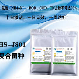 HS-J802强化硝化细菌；COD;氨氮；总氮；BOD去除菌种