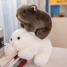 ��������ë�q��߂}����ë�q��߃�ͯ������ż����@������