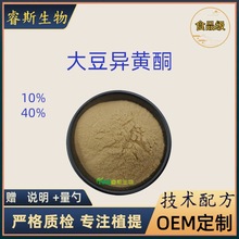 大豆异黄酮10%/40% 天然大豆胚芽提取物营养强化剂原料粉厂家现货