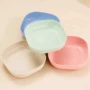 家用桌面塑料骨头骨碟