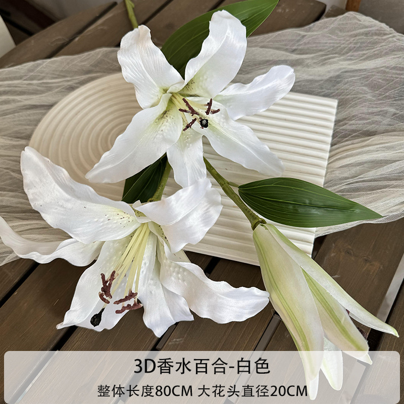화이트
