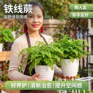 ��Ʒ�F��ާ�����҃�����Gֲ�k�����·��^�~����ֲ������ļ����B