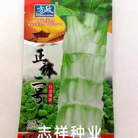 重庆方政正棒二号白皮棒菜种子白肉白皮芥菜四川板叶棒棒菜10克