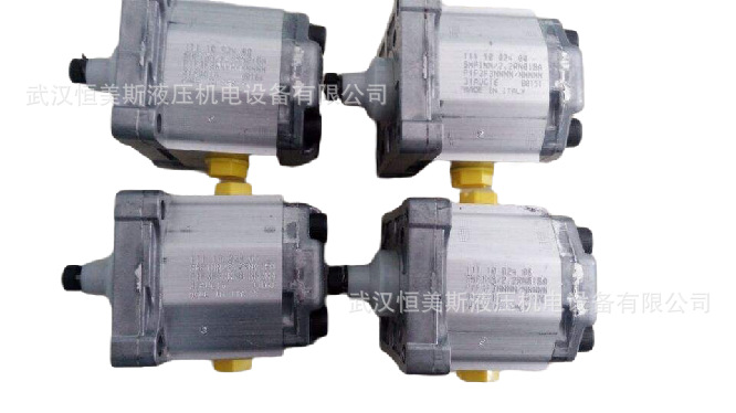 美国DANFOSS萨奥丹佛斯齿轮泵SHP2NN/025RN01DAP1C8C7NNNN/NNNNN