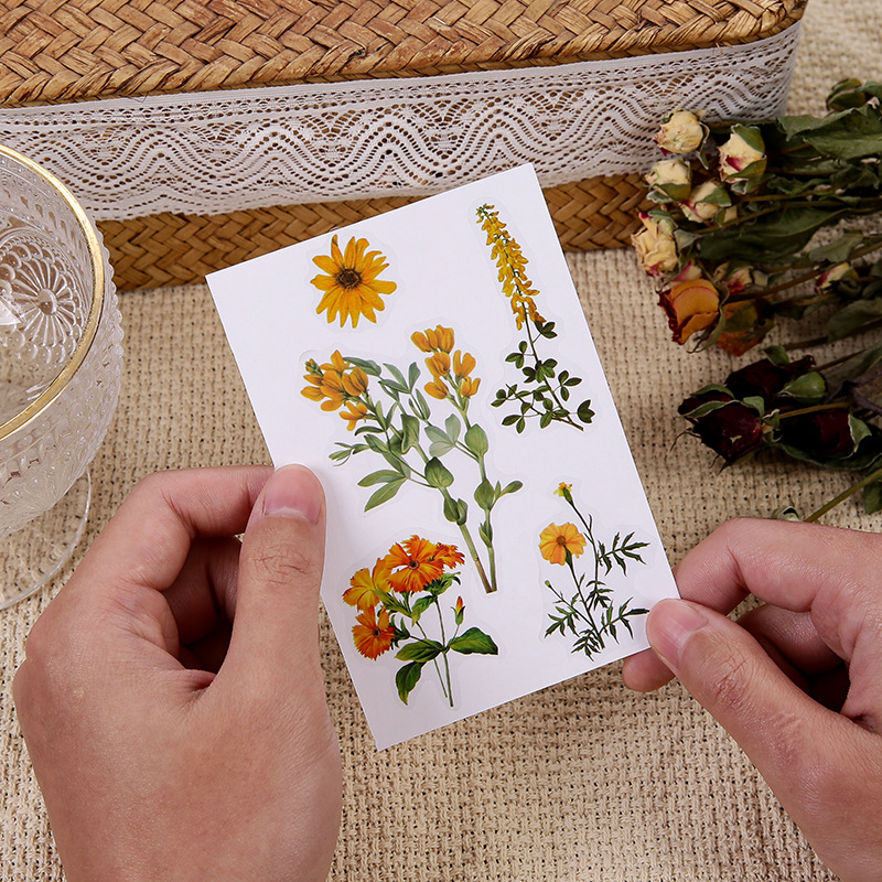 Cuenta de mano pegatinas bolsa vintage planta flor hojas PET impermeable transparente cuenta de mano de los niños DIY pegatinas decorativas taza de agua