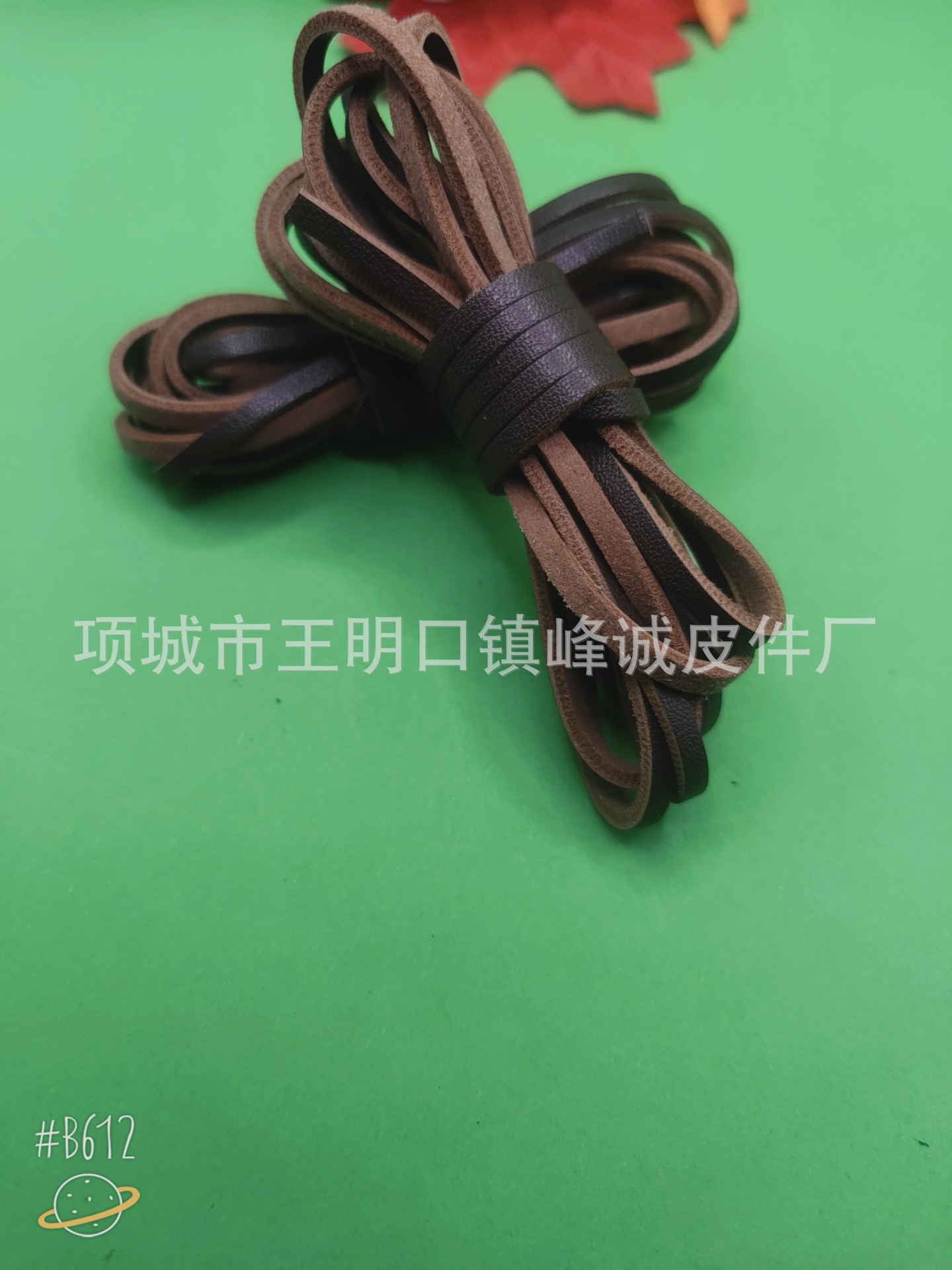 B612Kaji_20240119_203427_781