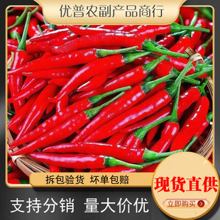 ���ڼtС�׽�9���������r���콷����⽷10���l5���]�����������l