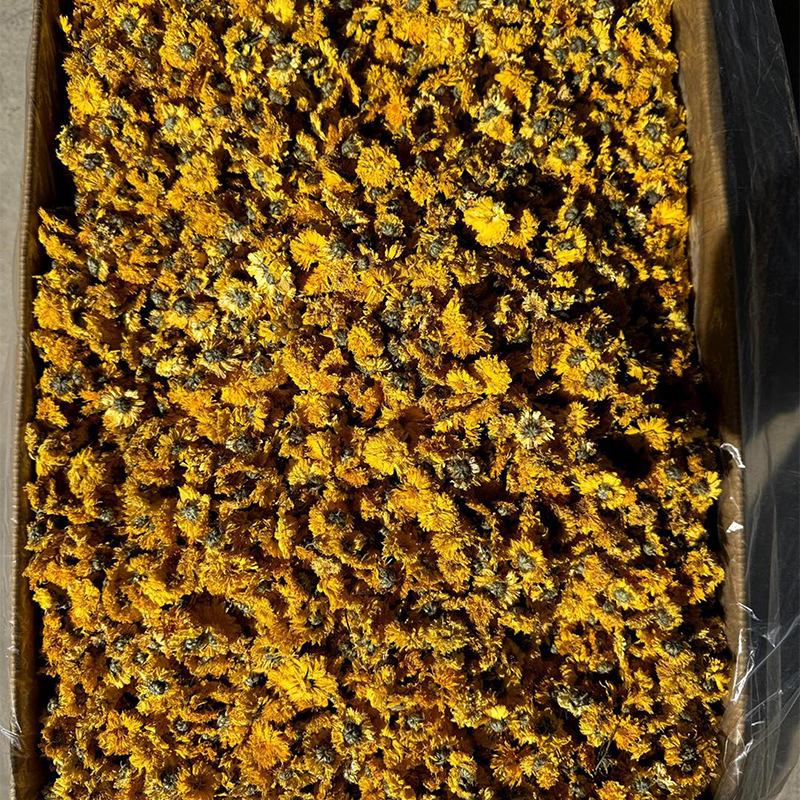徽五弟菊花茶黄山菊花干花茶金丝皇菊胎菊徽州皇菊多品产地直发|undefined