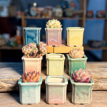 小老桩冰裂多肉花盆简约渐变创意个性桌面可爱流釉彩虹色控型透气