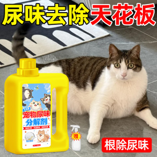 Pet deodorant indoor antibacterial cat urine dog urine biological enzyme decomposer cat litter toilet net smell spray wholesale