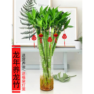 �Ĳ�������4֧����ˮ�B���F�D�\�񹝹���ˮ��ֲ���҃ȿ͏dֲ��