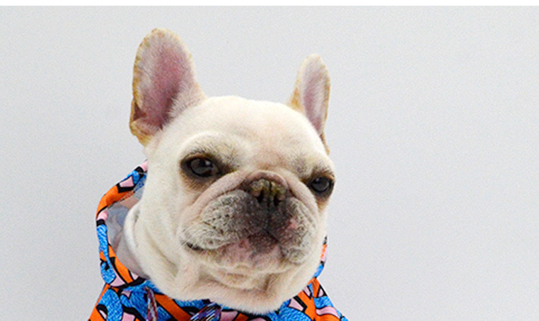 Blue Dog Hoodie