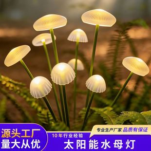 ̫��ܟ�ˮĸ���ʟ�����ͥԺ���@СԺ�Շ�����ƺ�b�