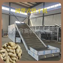 花生烘干机网带式大产量连续式烘干设备长生果带壳花生干燥机