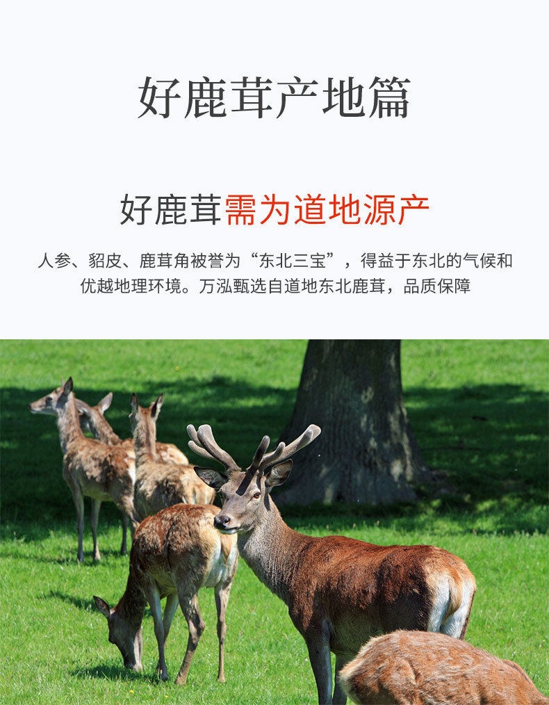 Deer Antler Slices Lu Rong 50g Dried Slices for Culinary Herbal Use preparation
