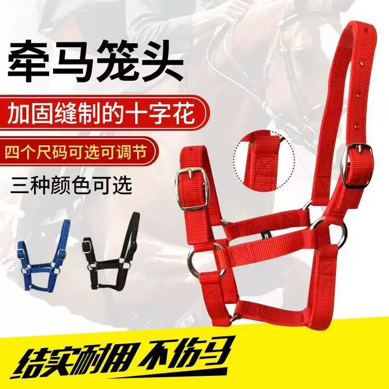 Прямые оптовые поставки конного снаряжения и ошейников для лошадей от производителя Decathlon, ошейники для лошадей больших и малых пород, ошейники для собак.