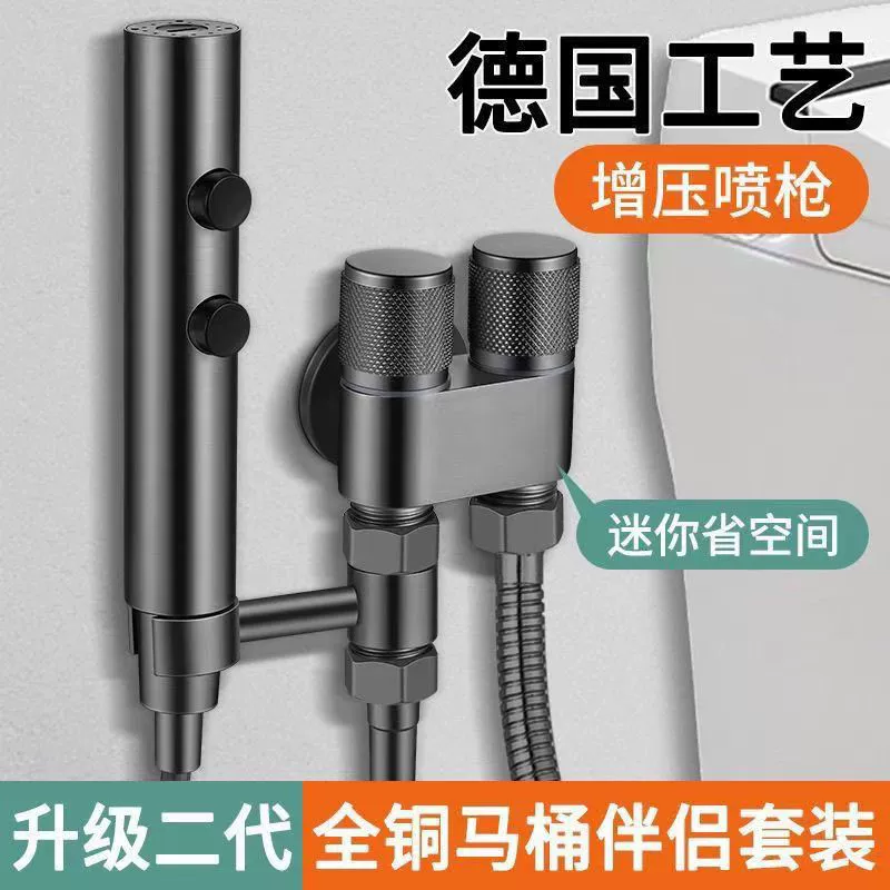 Домашний туалет компаньон один в два и два угловых клапана в туалете