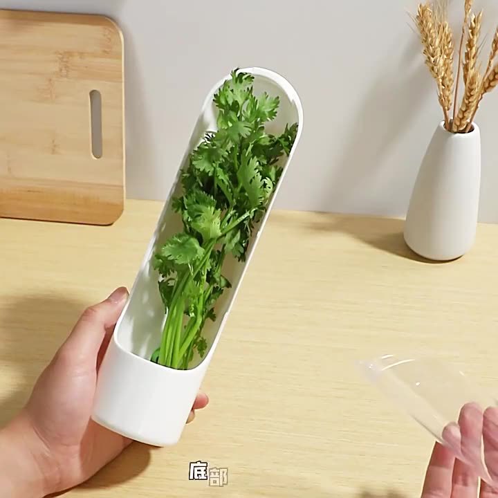 Transfronterizo Amazon herba caja de conservación de verduras almacenamiento de vegetales refrigerador almacenamiento creativo taza de conservación de cilantro