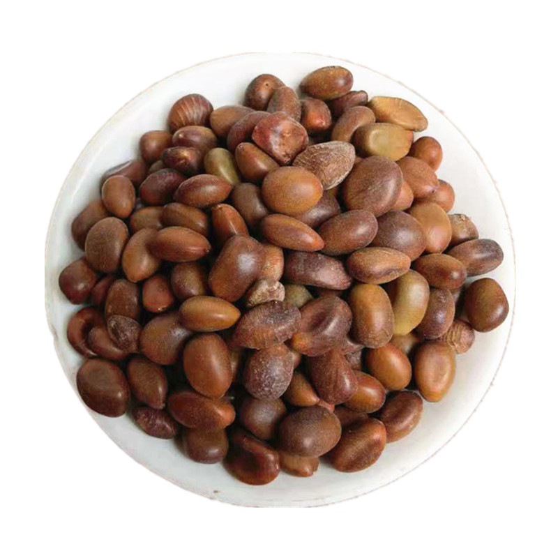 Dried Chinese Honeylocust Seeds Zao Jiao Zi Bulk Raw Herb Traditional Decoction Ingredient Sold by the Jin in use