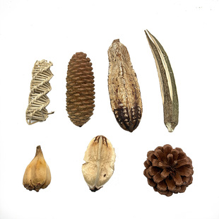 ��Ȼ�ɹ��W�^�_������B�ĥ�������ߗ����������ɹ�С�����