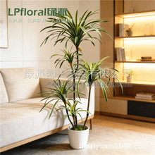 �羳���Q؛Դ�����ָмt߅�F���ָ��~����Ѫ���߅ins�ҾӔ[��